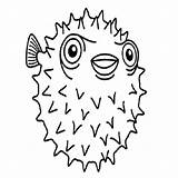 Fish Puffer Porcupine Coloring Pages Colouring Color Clipart Printable Cliparts Getcolorings Library Print Porcupinefish sketch template