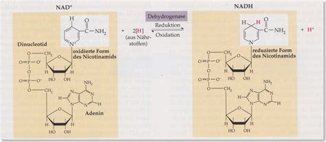 archives  february  elektrochemie chemie