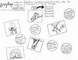 Ecosystem Interactions Adaptations sketch template