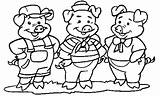 Porquinhos Porquinho Três Pigs Felizes Lobo Mau Projeto Escolher Porco Sponsored Atividades sketch template