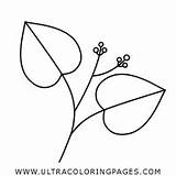 Coloring Leaves Flower Pages sketch template