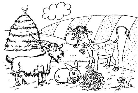 goat  cartoon animals  farm coloring page  printable