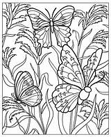 Coloring Butterflies Flowers Pages Garden Beautiful Butterflys Adult Adults Nature Relaxing Wings Several Plants Very Details Difficult Green Moment sketch template