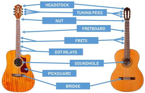 parts   guitar diagrams  acoustic  electric guitars guitar gear finder