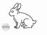 Rabbit Lineart sketch template