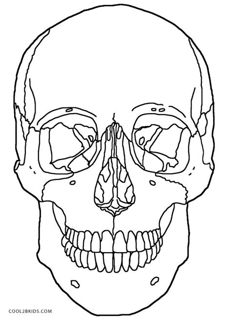 printable skulls coloring pages  kids anatomy coloring book skull