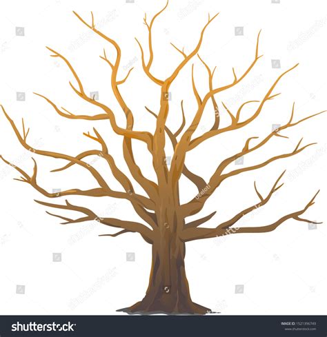 branches trees  leaves images stock  vectors