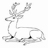 Stag Coloring Resting Designlooter 200px 32kb Surfnetkids sketch template