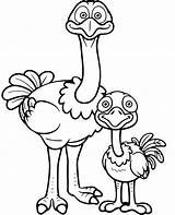 Ostrich Avestruz Mother Topcoloringpages sketch template