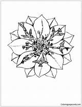 Colibri Mandala Pages Flying Coloring Color Online sketch template