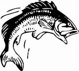 Fishing Fish Clip Printable Stencils Bass Clipart Clipartix sketch template