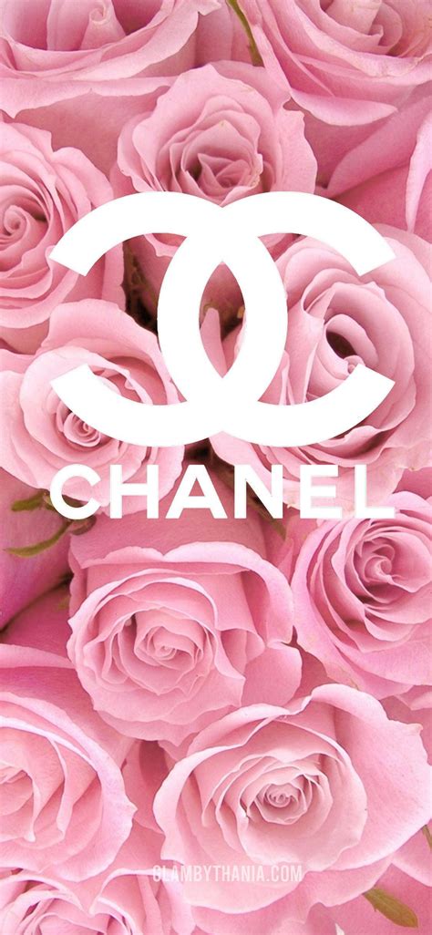 glamorous  classy chanel background pink