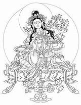 Tibetan Thangka Tara Outlines Green Drawings Coloring Google Painting Search Drawing Colouring Line Hindu Buddha Pages Choose Board Pic Tattoos sketch template