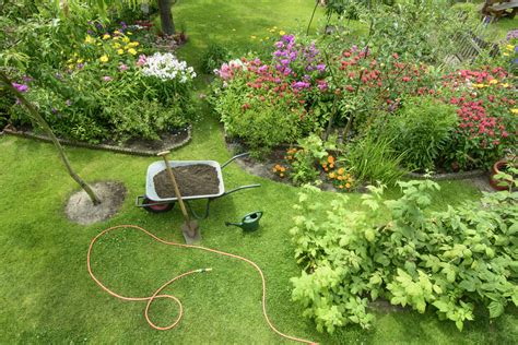 Spring Lawn Maintenance How To Care For Your Lawn In The Spring