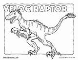 Velociraptor Feathers Tim Dino Timvandevall Jurassic Goodnight Tyrannosaurus Pteranodon sketch template