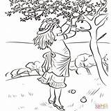 Picking Coloring Pages Apple Apples Printable Girl Getcolorings Color Getdrawings sketch template