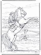 Pferd Ausmalbilder Paard Cowboy Pferde Cavalo Vaqueiro Kleurplaat Paarden Selvagem Kleurplaten Cavallo Cavalos Impennato Steigert Caballo Corveta Weihnachten Cavalli Caballos sketch template