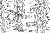 Kelp Printables Monterey sketch template