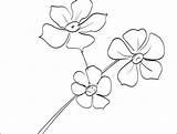 Forget Coloring Flower Getcolorings Getdrawings sketch template