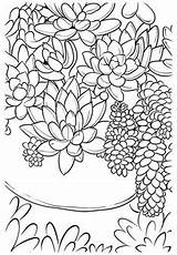 Succulent Coloring Succulents Pages Print Again Adult Book Versatile Cards Mandalas Choose Board sketch template