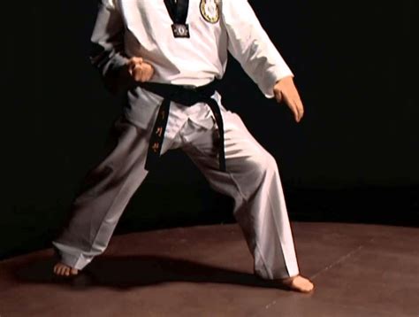 taekwondo  melakukan gerakan tangkisan makki  taekwondo
