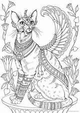 Egyptian Tiere Magische Favoreads ägypten Katze Kitten Katzen Malvorlagen Coloringart sketch template