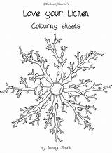 Coloring Lichens Lichen Book Colouring 87kb Sheets Printable sketch template