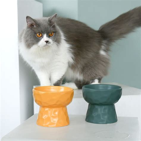 antislip kat kom huisdier voeden water kom voor katten keramische voedsel huisdier kommen op