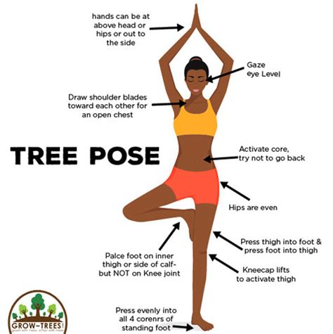 vrikshasana   tree pose  international yoga day grow