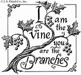 Branches Bible Verse Cliparts Knock Vines Grapevine Scriptures Scripture Grape Webstockreview sketch template