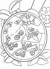 Coloring Bugs Pages Its Bug Dora Supercoloring Printable Insect Insects Super Colouring Craft Kids раскраски Para Color Rocks Exploradora La sketch template