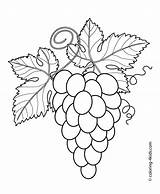 Grapes Leaves Coloring Pages Drawing Leaf Fruits Trauben Choose Board Berries Printable Kids Color sketch template