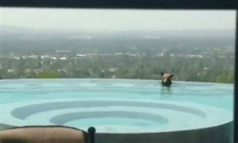 there s a bear in our pool cheeky skinny dipper drops by for a swim