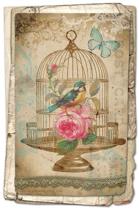 printable birdcage art card  vintage printables vintage