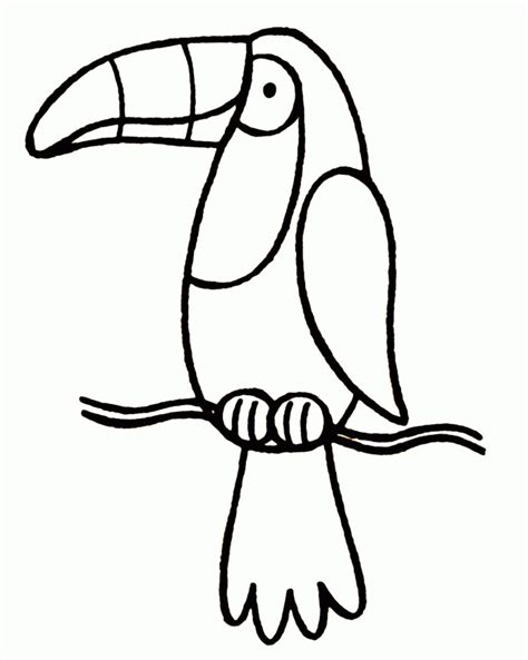 toucan coloring page  kids coloring home