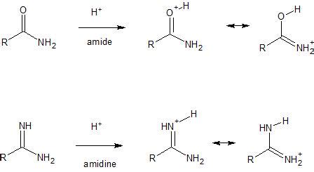 organic chemistry   amidines    basic  amides chemistry stack exchange