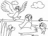 Coloring Puffin Family Puffins Pages Cartoon sketch template