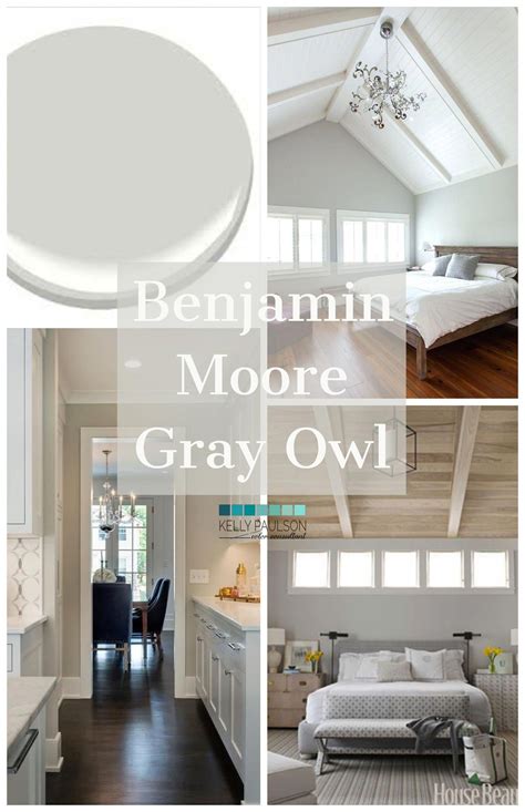 colorful highlight  benjamin moore gray owl paint color