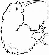 Kiwi Coloring Bird Pages Animal Clipart Fruit Drawing Getcolorings Print Animals Colouring Color Getdrawings Printable Kaynak Animalstown Kids sketch template