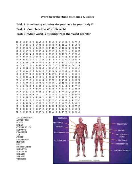 word search muscles bones  joints  arthritis muscle