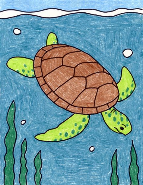 draw  sea turtle art projects  kids