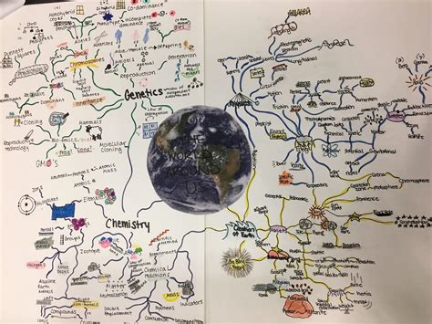 science  mind map final project alexandras blog