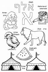 Hebrew Coloring Alphabet Aleph Learn Learning Pages Book Bet Children Vowels Colouring Choose Board Amazon sketch template