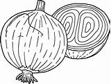 Onion Coloring Pages Drawing Onions Kids Vegetable Vegetables Coloringbay Getdrawings Carrots Broccoli Popular Pumpkins Pepper sketch template