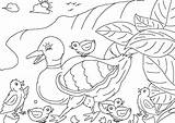 Ugly Duckling Coloring Pages Colouring Story Printable Popular Pdf Getcolorings Color sketch template