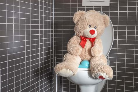 clogged toilet   checked   childrens toys