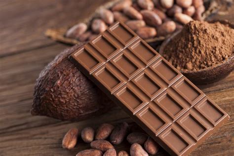 japanese government admits claim  chocolate  good   brain  short  data