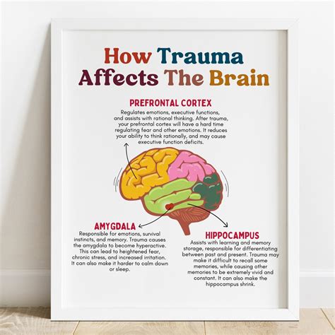 trauma affects  brain mental health center kids