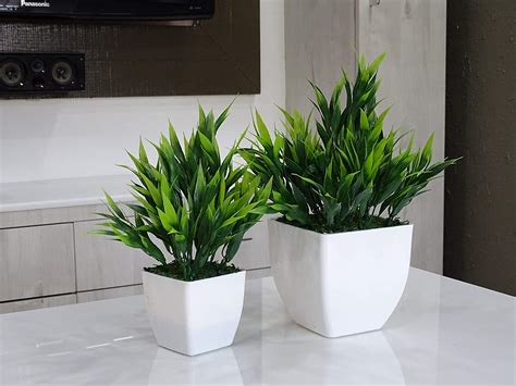 artificial plants  add  green   home