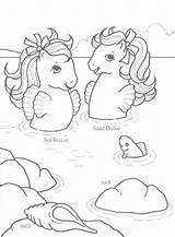 Coloring Sea Ponies Book Pony sketch template